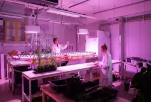 OlsAro Raises €2.5 Million Seed Round to Expand AI-Enabled Climate Smart Crop Breeding Platform