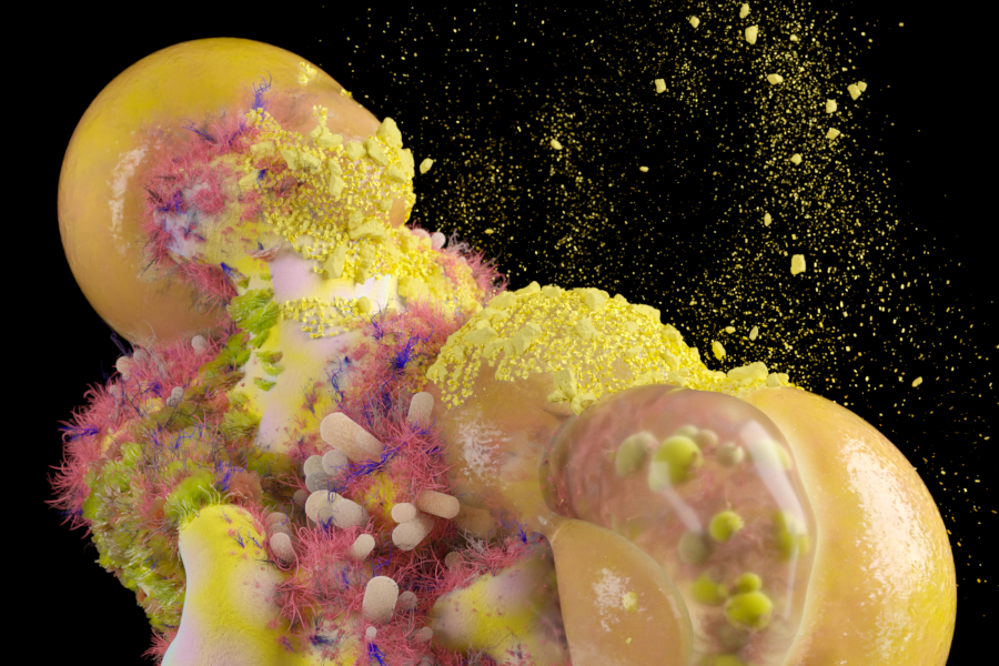 Representación gráfica de bacterias a nivel microscópico
