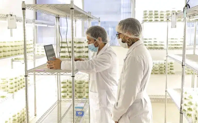 Laboratorio de Botanical Solutions, con científicos y plantas