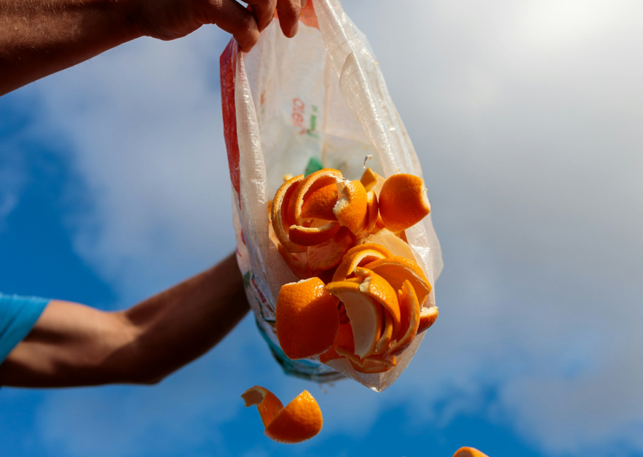 Cascas de laranja sendo jogadas de um saco plástico por uma pessoa